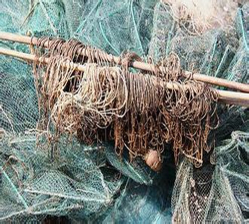 农业部持续推进违规渔具清理整治工作