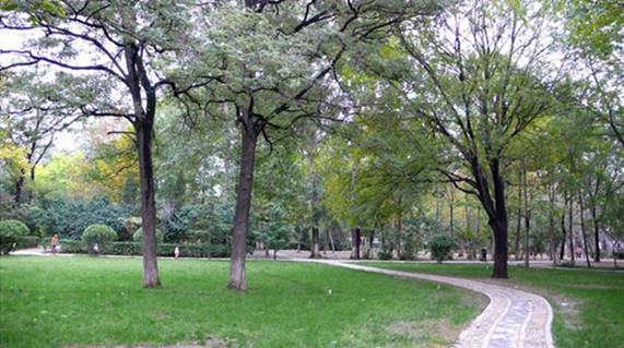 聊城公园：山色湖水更美啦 城区道路、景点绿化提升中
