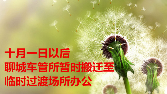 十月一日以后 聊城车管所暂时搬迁至临时过渡场所办公