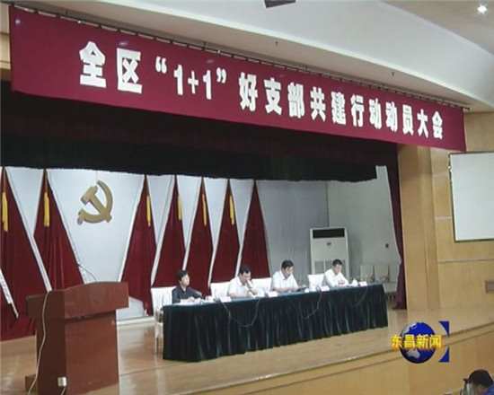 全区“1+1”好支部共建行动动员大会召开 彭志国出席会议并讲话