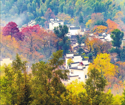 大部分传统村落已得到基本保护