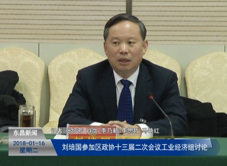 刘培国参加区政协十三届二次会议工业经济组讨论