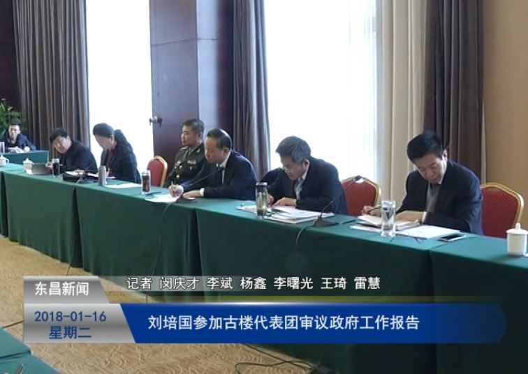 刘培国参加古楼代表团审议政府工作报告