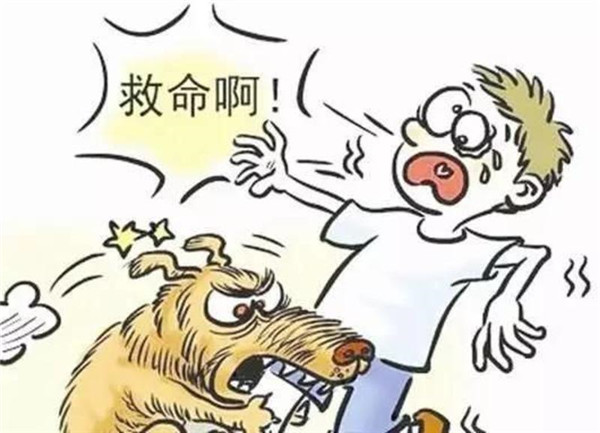 天暖狂犬病进入高发期 聊城疾控专家提醒防范