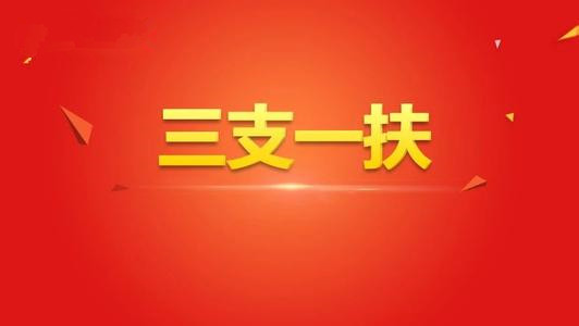 2018年聊城市高校毕业生“三支一扶”计划招募补充公告