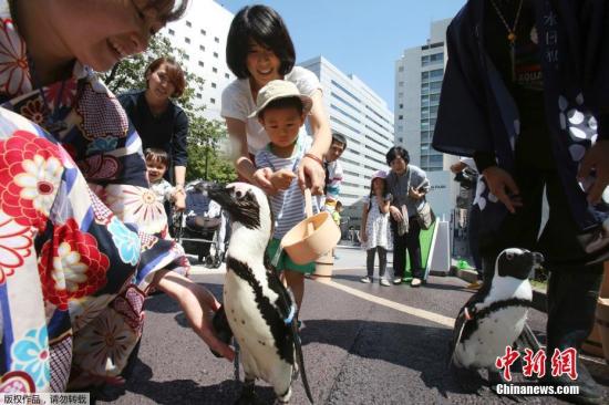 中日关系舆论调查：中国人对日好感度达14年来最高