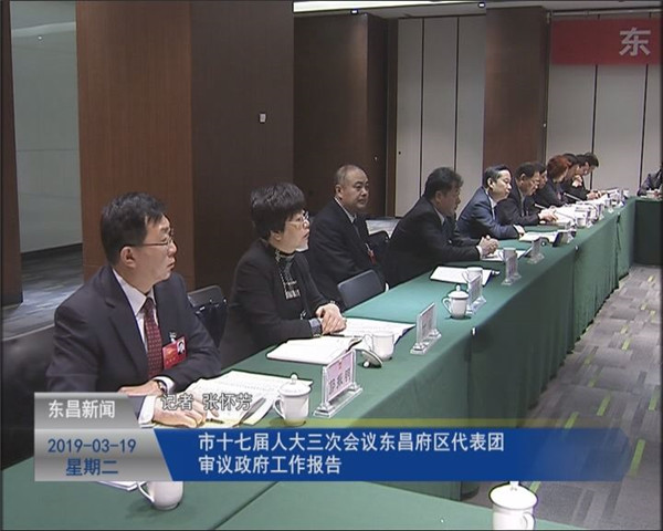 市十七届人大三次会议东昌府区代表团审议政府工作报告