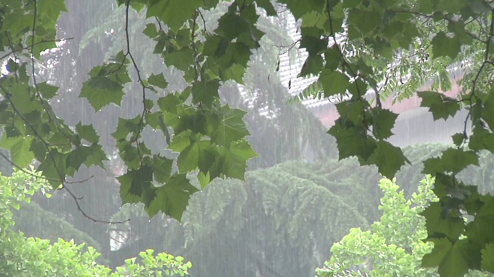 山东继续发布高温橙色预警 雨后桑拿天开启