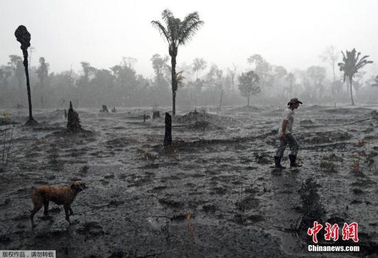 亚马孙雨林大火：巴西将接受金援 多国吁共商对策