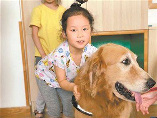 “狗狗教授”幼儿园狂圈粉 教孩子学会与动物相处