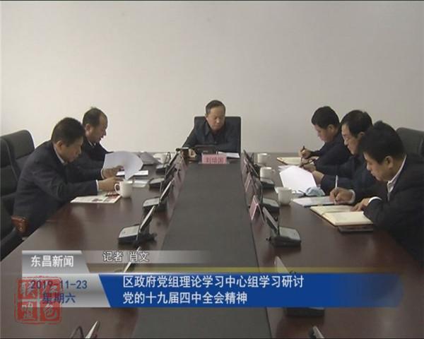 区政府党组理论学习中心组学习研讨党的十九届四中全会精神