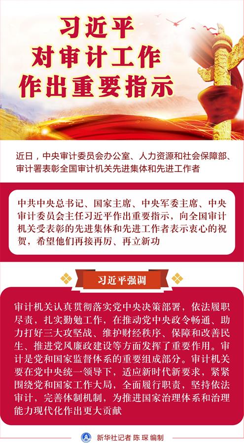 习近平对审计工作作出重要指示