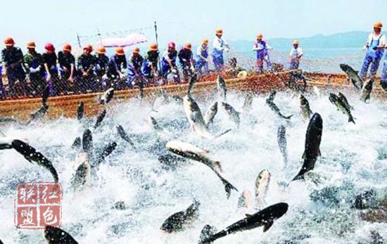 首届广东渔业种业博览会开幕