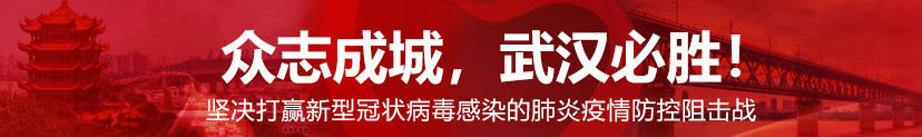 【疫情防控，武汉担当】以战时状态跑赢谣言