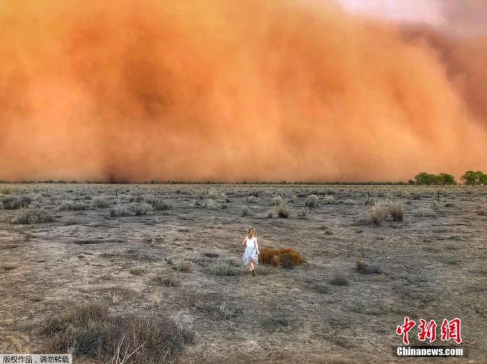 强风雷暴席卷澳大利亚新州 仍有30处火灾未得到控制