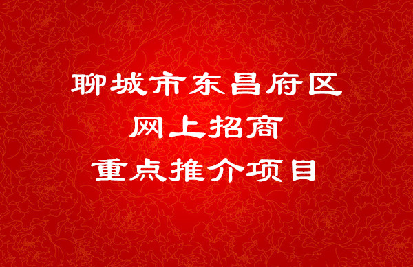 聊城市东昌府区网上招商重点推介项目