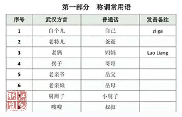 新华社：“齐”心“鲁”力 “武汉话手册”诞生背后 五代人悬壶济世传承使命