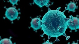 研究发现新冠病毒可能会感染宿主肠细胞