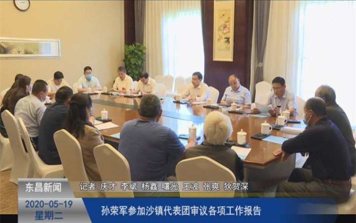 孙荣军参加沙镇代表团审议各项工作报告