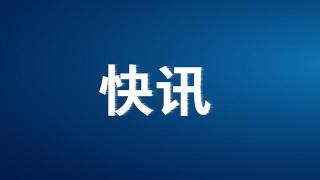 阿联酋空军举行三天特技飞行表演致敬医护人员