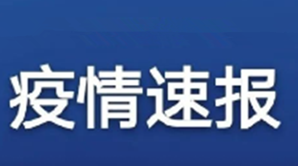 世卫组织：全球新冠肺炎确诊病例超过965万例