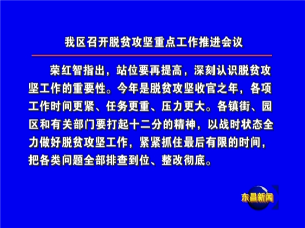 我区召开脱贫攻坚重点工作推进会议