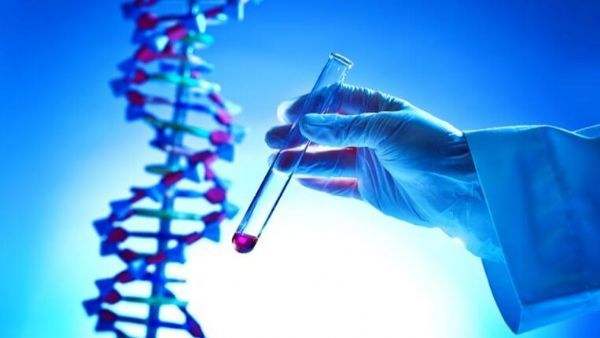 基因编辑再设限 基因疗法会受影响吗