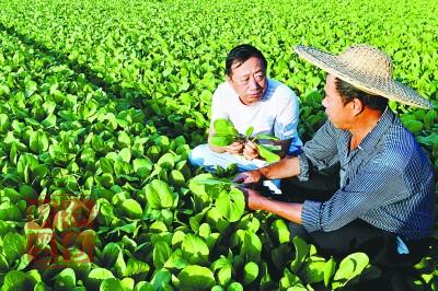 山东省农业科技园区年总产值超2700亿元