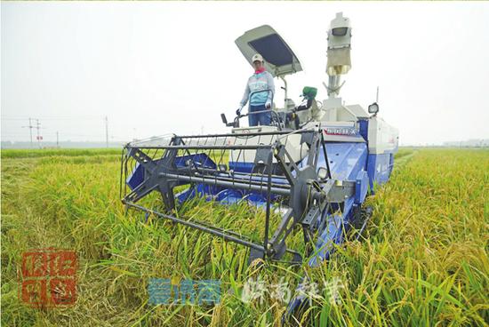 农场无人化、储粮智能化……中国粮食产业走向智能化