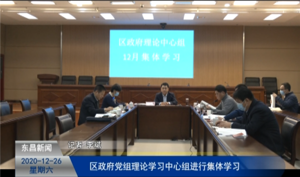 区政府党组理论学习中心组进行集体学习