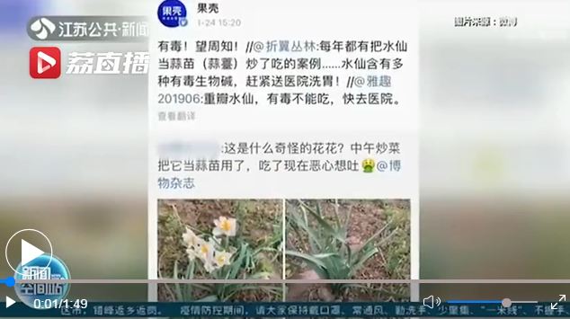 女子误把水仙当蒜苗吃恶心呕吐 专家：万一误食赶紧催吐！