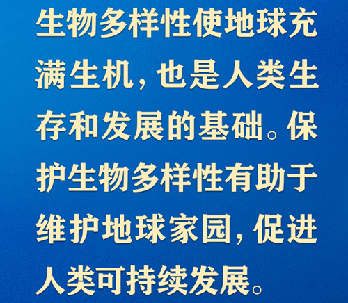 共同构建地球生命共同体，习近平提出“中国方案”