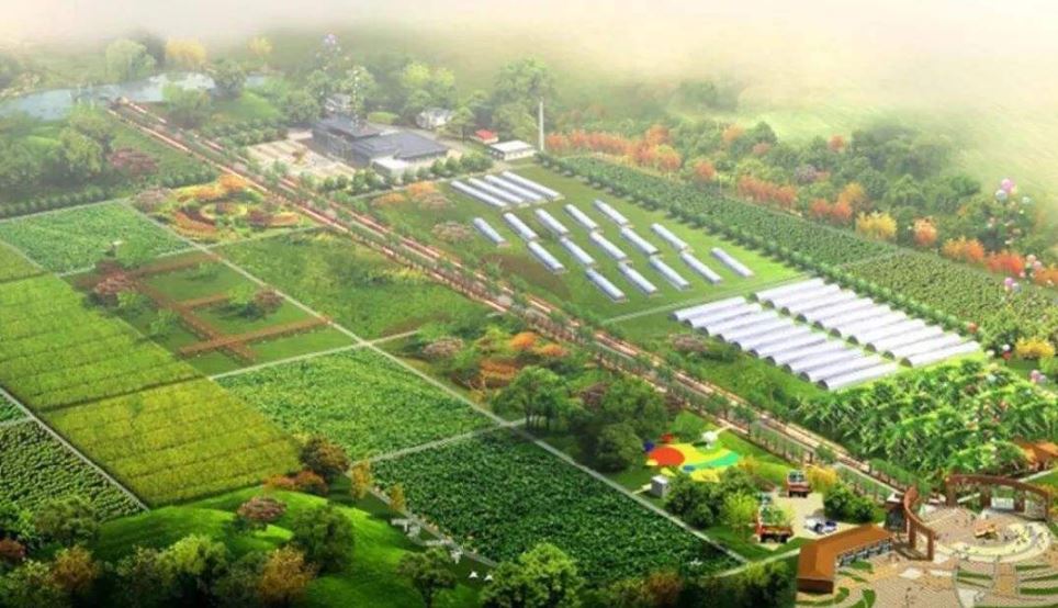 农业农村部：到2025年建设1000家国家级生态农场