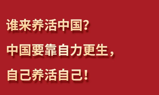 习言道丨习近平为何再答“谁来养活中国”？