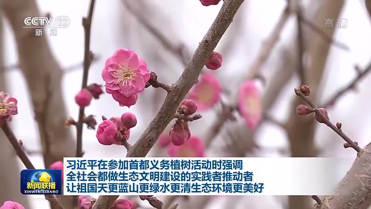 【央视快评】让祖国天更蓝山更绿水更清生态环境更美好