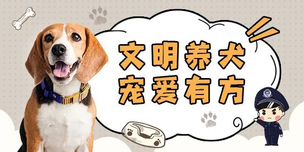 聊城“电子犬证”上线！赶快给狗狗领取“身份证”