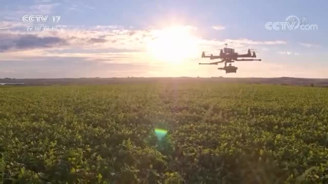 大国“粮”策 | 有了高科技，如今的农业生产像科幻大片！