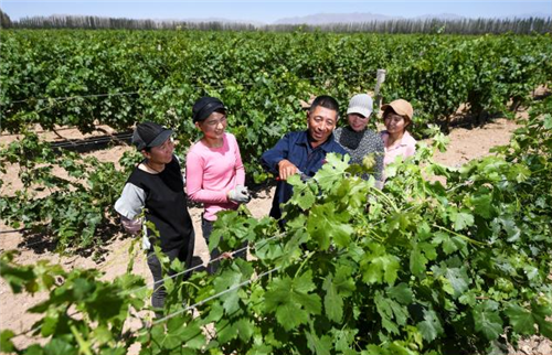 总书记和人民心贴心丨“总书记的真心关怀，暖到了人的心窝子里”