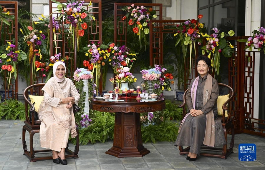 彭丽媛会见印尼总统夫人伊莉亚娜