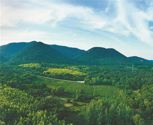 大力发展乡村旅游（专题深思）