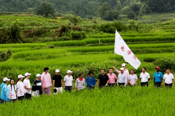 中国农大学子：田间地头走“硒”望之路