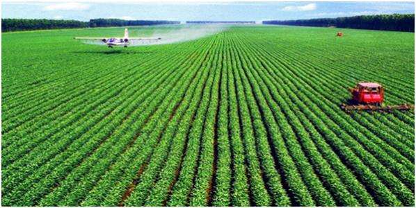 我国农业科技进步贡献率超过61% 农作物种源自给率超过95%