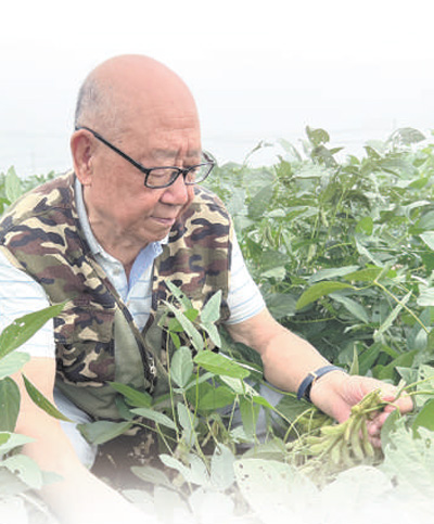 86岁大豆育种专家盖钧镒——每一片大豆产区都去过