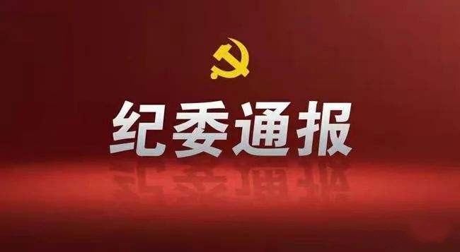 中央纪委国家监委公开通报十起违反中央八项规定精神典型问题