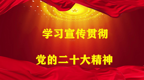 坚定不移全面从严治党（认真学习宣传贯彻党的二十大精神）