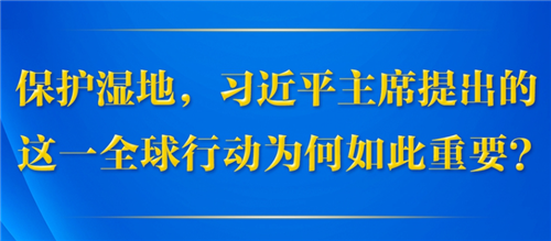 第一观察丨保护湿地，习近平主席提出的这一全球行动为何如此重要？