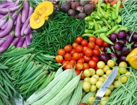 培育蔬菜新品种，保障人民“吃菜自由” ——农业院所负责人谈实施种业振兴行动
