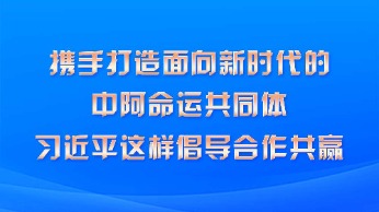 携手打造面向新时代的中阿命运共同体 习近平这样倡导合作共赢