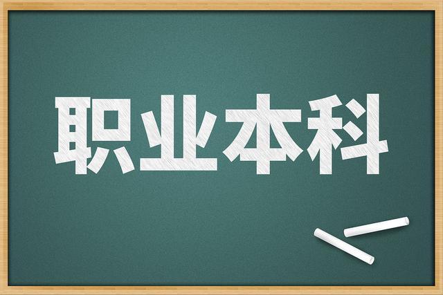 职业本科迎来招生就业丰收季