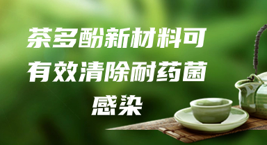 研究发现：茶多酚新材料可有效清除耐药菌感染